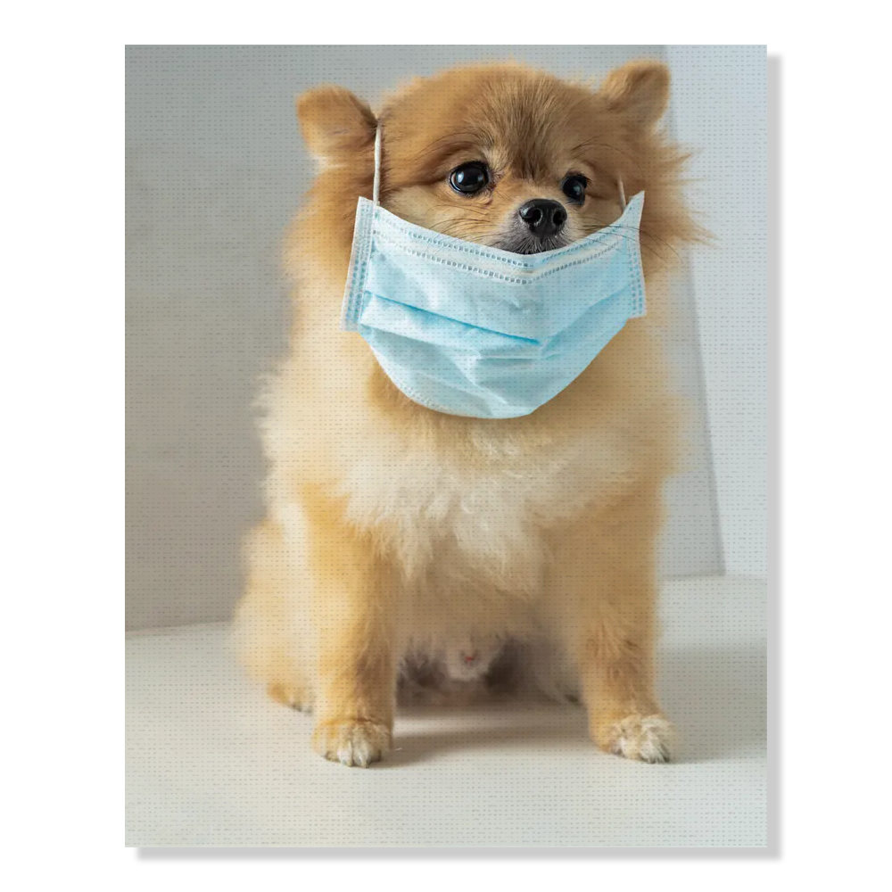 Canvas Prints (Museum Wrap) (0.75in frame)