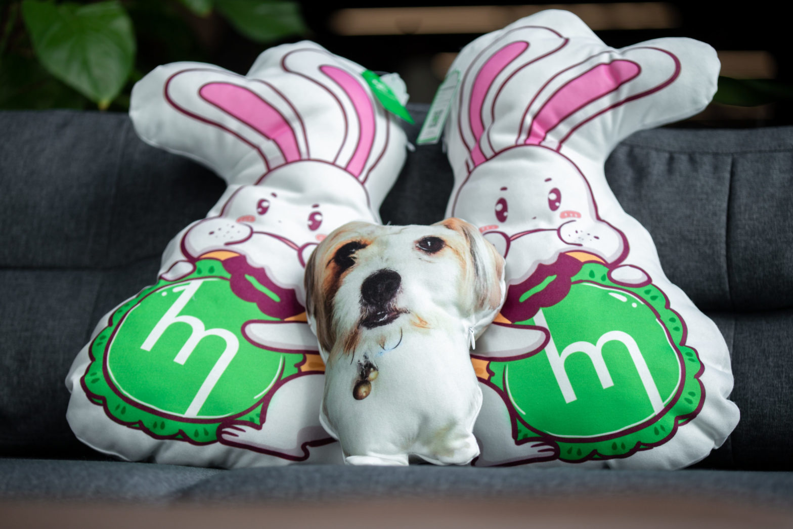 Custom Custom shape Plush Pillow Case Print on Demand & Fulfillment