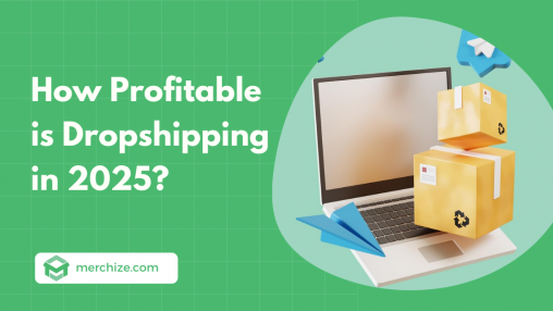 How Profitable is Dropshipping