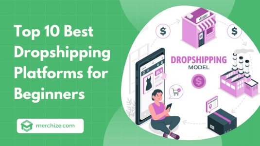 Best Dropshipping Platforms for Beginners in 2024