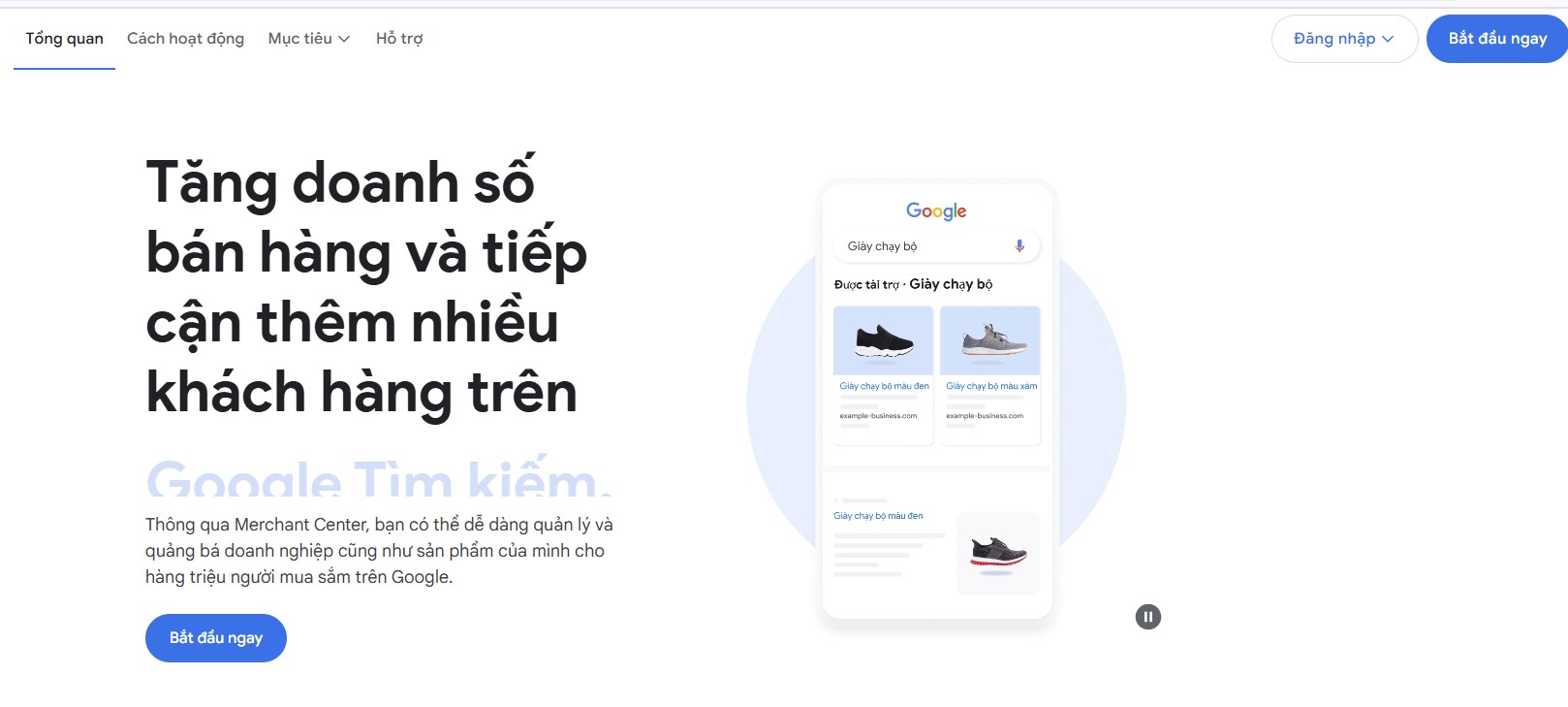 Page Đăng ký Google Merchant Center