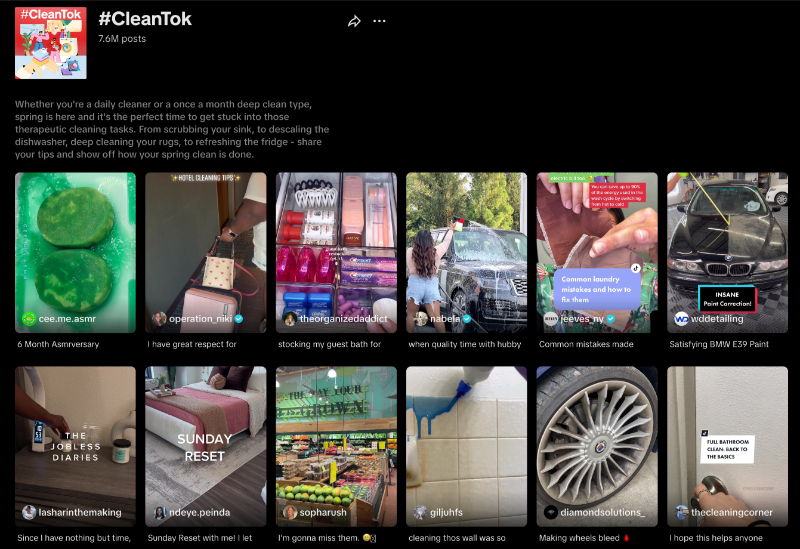 cleaning home TikTok Products